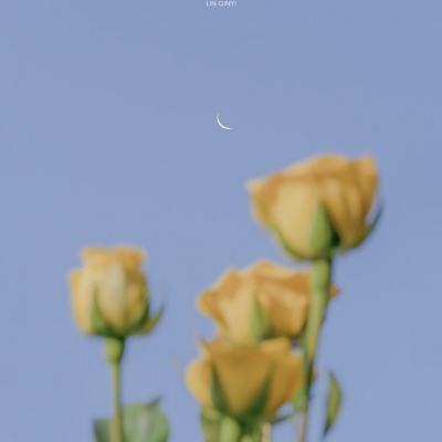 leyu乐鱼体育官网-登录